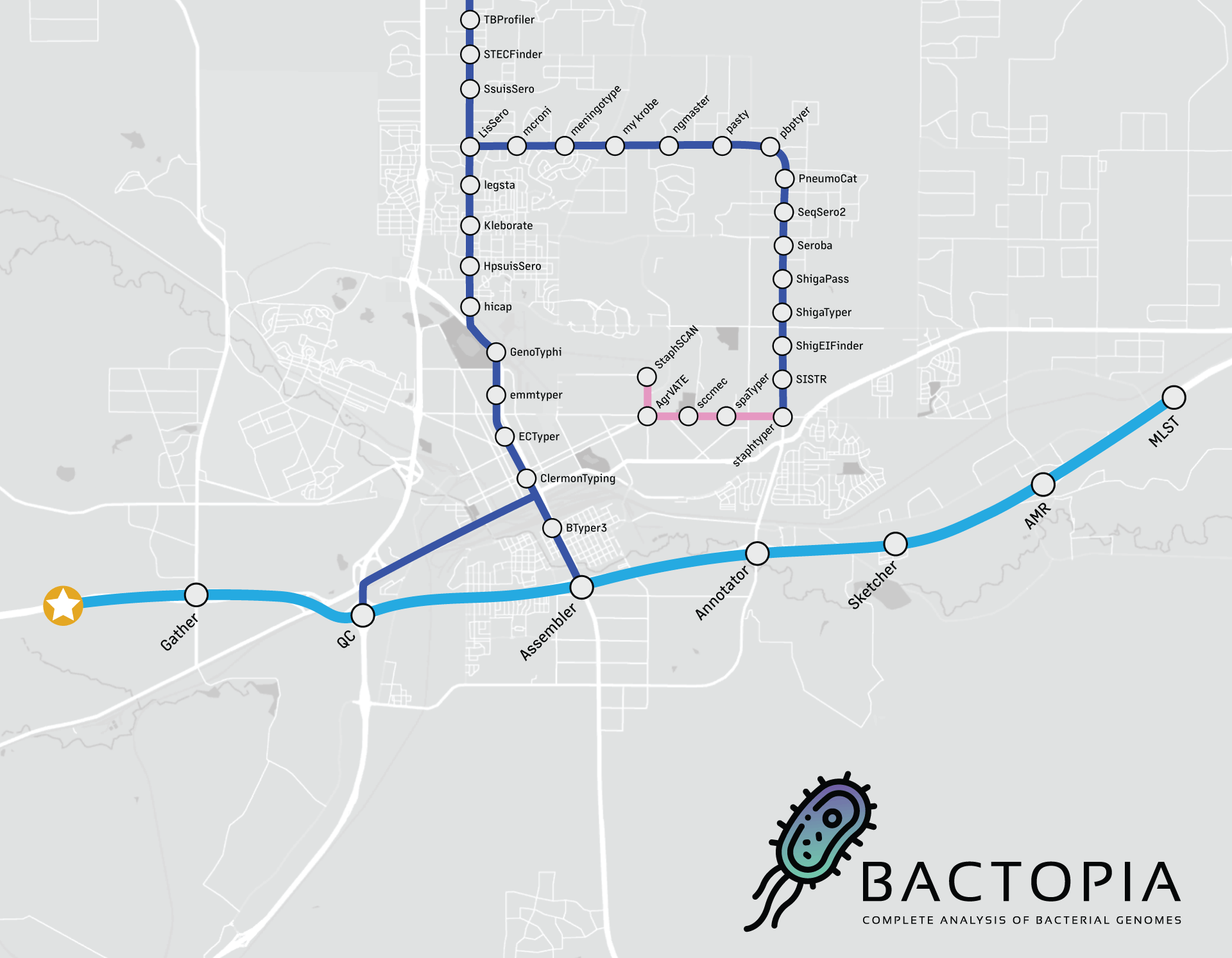 Bactopia Workflow